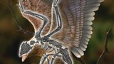 Trung Quốc: Chim mang đầu T-rex hiện nguyên hình từ cõi chết