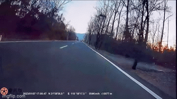 Video: Người đi xe máy bất ngờ bị lợn rừng húc trúng