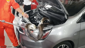 Video: Đem xe đi sửa bất ngờ phát hiện trăn khổng lồ trong động cơ