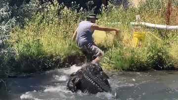 Video: Người đàn ông suýt bị cá sấu ngoạm mất chân khi cho ăn