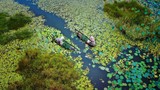 Khám phá vẻ đẹp hoang sơ, bình dị bãi Sậy sông Đầm Quảng Nam