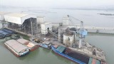 Vận tải biển Hoàng Long “rộng cửa” gói thầu vận chuyển clinker 197 tỷ