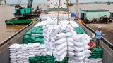 Nhu cầu tăng, xuất khẩu gạo Việt Nam đạt kỷ lục 7,1 triệu tấn