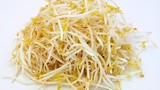 5 nhóm người không nên ăn giá đỗ để bảo vệ sức khỏe