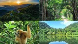Vườn quốc gia Việt Nam 5 năm liên tiếp lọt top hàng đầu châu Á