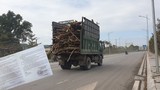 Xe cơi nới thùng, thành lộng hành ở Quảng Ninh: TP Hạ Long cho hoạt động?