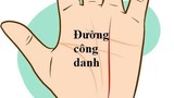 Dự đoán sự nghiệp, tiền tài qua đường công danh trong lòng bàn tay