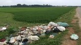 Hoảng hồn đoạn chân người vứt tại bãi rác ở Nghệ An