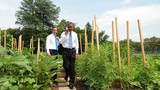 Ngưỡng mộ vườn rau sạch của phu nhân Tổng thống Obama