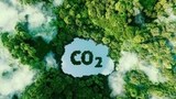 Loại bột nhân tạo hấp thụ CO2 tốt hơn cây xanh