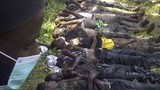 Khủng bố ở Nigeria, 47 sinh viên thiệt mạng 