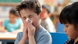 Australia: Hàng trăm người tử vong vì dịch cúm