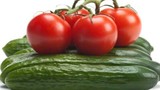 Lành như cà chua, ăn sai cách cũng thành “độc dược” 