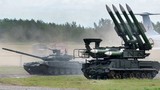 Báo Nga: Việt Nam đã mua tên lửa phòng không Buk, Tor?