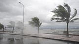Chiều mai, bão số 10 giật cấp 15 đi vào Nghệ An-Quảng Trị