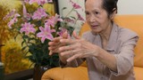 "Vào CPTPP: Cơ hội đột phá nông nghiệp, nâng cao vị thế Việt Nam"