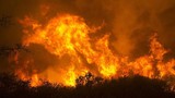 Video: Cháy rừng dữ dội ở Mỹ, khiến hàng trăm người mắc kẹt