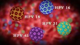 Cách ngăn ngừa virus HPV gây ung thư, mụn cóc sinh dục