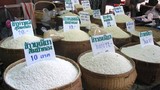 Lo lắng vì gạo Thái nhiễm chất độc gây tê liệt thần kinh