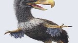 Top 10 khủng long làm nên “thương hiệu” kỷ Jura