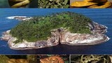 Kinh hoàng đảo rắn độc bậc nhất thế giới