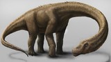 Những điều đáng kinh ngạc về 10 loài khủng long lớn nhất