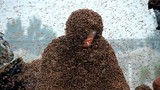“Dị nhân” Trung Quốc để hơn triệu con ong bu kín người