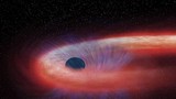 Khiếp đảm xem lỗ đen "chén sạch" một ngôi sao
