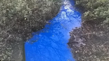 “Điên đầu” giải mã dòng sông xanh kỳ dị ở Anh