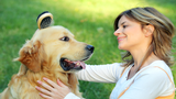Tiết lộ thú vị về “hormone tình yêu” ở loài chó