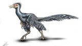 Giải bí ẩn loài chim cổ Archaeopteryx