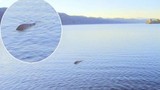 Thực hư cái chết của quái vật hồ Loch Ness