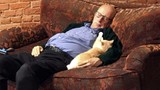 Kỳ lạ người đàn ông dành cả ngày để ngủ với... mèo