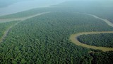 Bí ẩn quanh rừng Amazon, khoa học "giật mình" lý giải