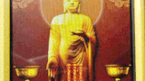 Lấy hình Phật làm hình nền điện thoại có tội không?