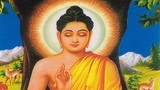Phật Thích Ca và Phật A Di Đà khác nhau thế nào?