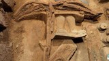 Sức mạnh kinh ngạc của siêu nỏ trong mộ Tần Thủy Hoàng 