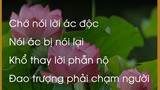 Chiêm nghiệm luật nhân quả qua lời Phật dạy