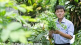 PGS-TS Trần Văn Ơn: Người muốn biến Việt Nam thành vườn dược liệu 