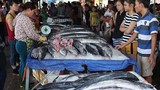 Mục kích chợ hải sản “giãy đành đạch” Cửa Lò