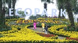 Điều trông thấy ở lễ hội hoa Xuân Ecopark