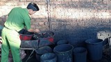 Vụ cà phê nhuộm bằng lõi pin: Sản phẩm được đưa đi tiêu thụ ở Bình Phước