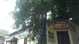 Nhà hát múa rối Việt Nam bị “xẻ thịt” làm nhà hàng