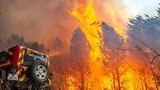 Tây Âu bốc cháy: 238 người chết vì nóng, 15.000 người sơ tán