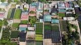 Hà Nội: Loạt công trình “mọc” trên đất nông nghiệp ở phường Tây Tựu?