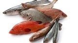 2 loại cá rẻ tiền chứa nhiều collagen chống lão hóa