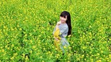 Ngẩn ngơ ngắm cánh đồng hoa cải vàng ở ngoại thành Hà Nội