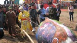 “Vua” mặc long bào xuống ruộng đi cày tại lễ hội Tịch Điền