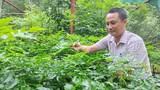 Biệt đội ươm rừng ở Phong Nha - Kẻ Bàng
