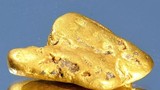 Máy dò kim loại bị lỗi tìm thấy cục vàng lớn nhất nước Anh